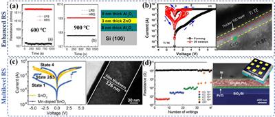 Cationic Interstitials: An Overlooked Ionic Defect in Memristors